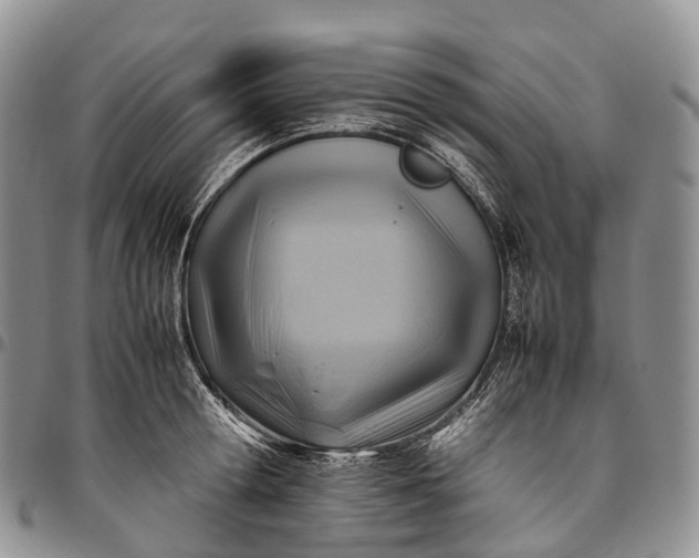 X0000094800802200711301538