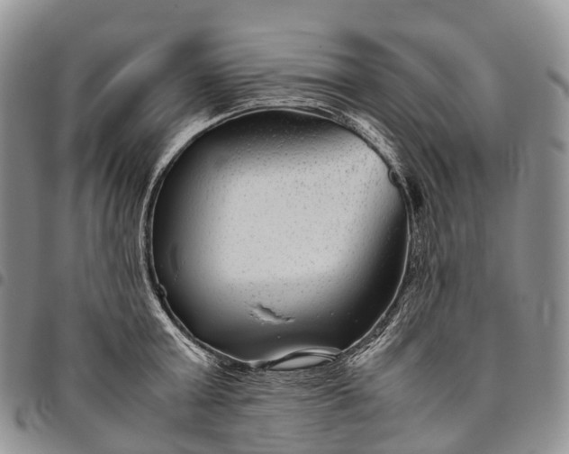 X0000094800803200711301538