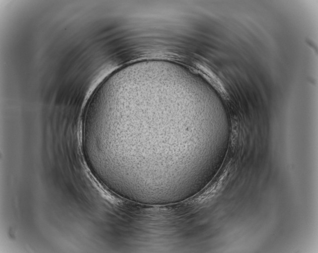 X0000094800804200711301538