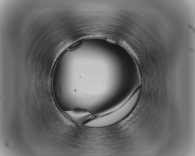 X0000094800805200711301538