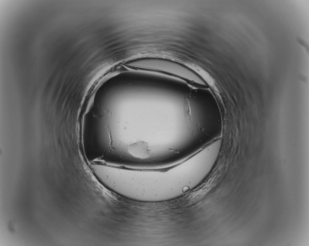 X0000094800807200711301538