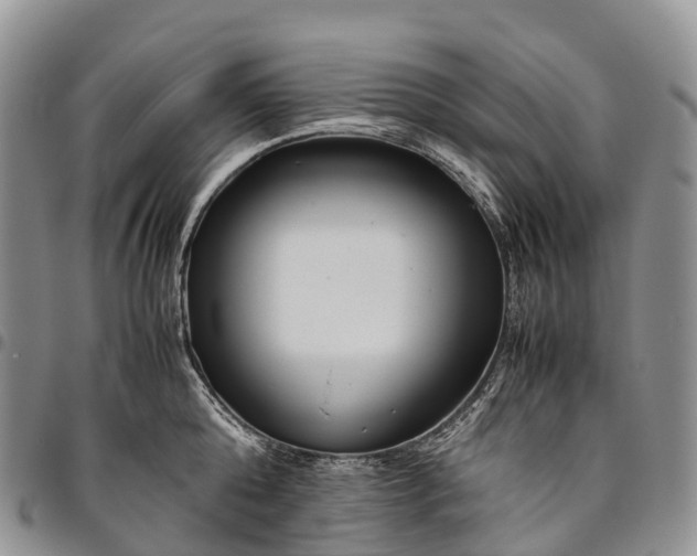 X0000094800808200711301538