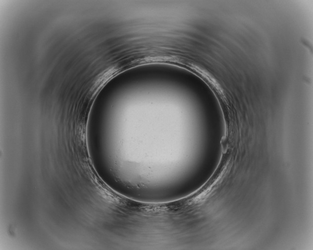 X0000094800809200711301538
