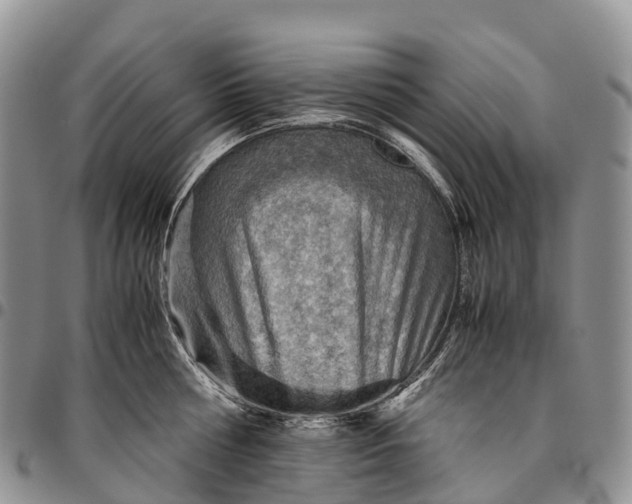 X0000094800810200711301538