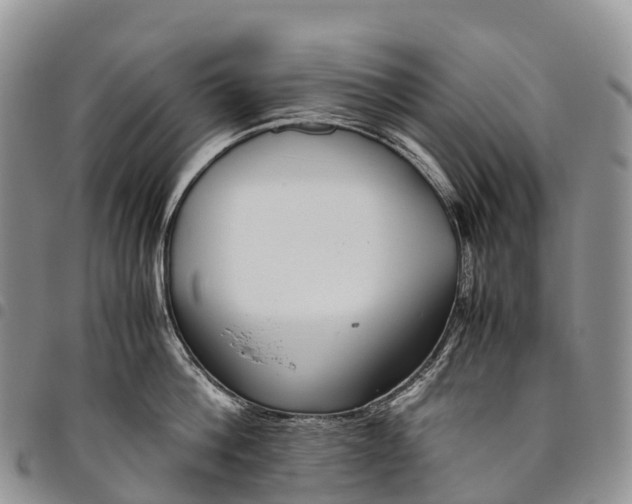 X0000094800812200711301538