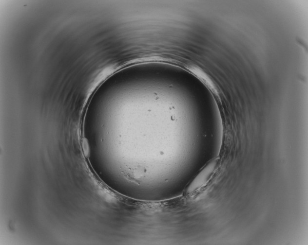 X0000094800813200711301538