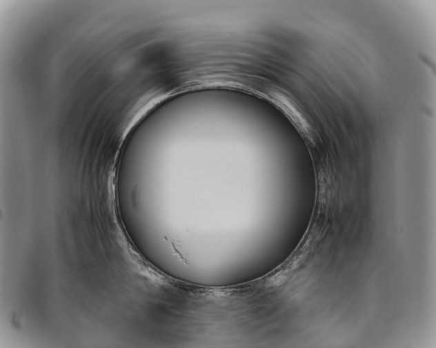 X0000094800814200711301538