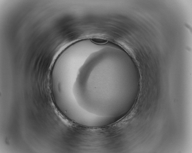 X0000094800816200711301538