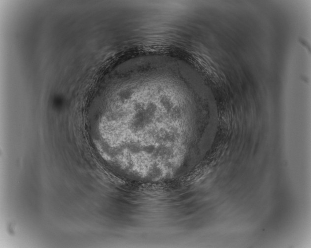X0000094800817200711301537