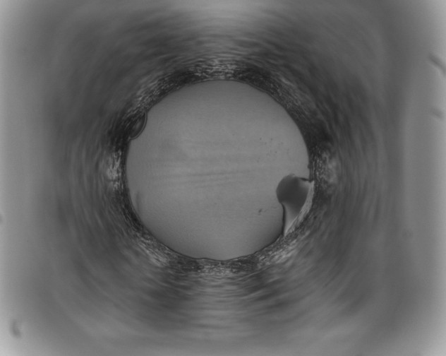 X0000094800818200711301537