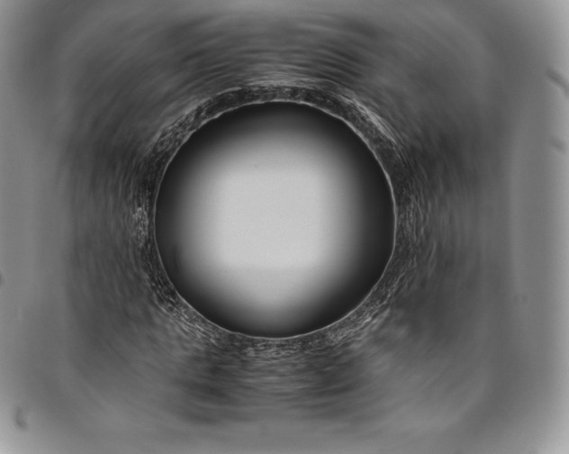 X0000094800821200711301537