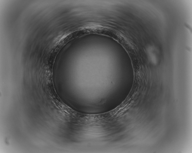 X0000094800822200711301537