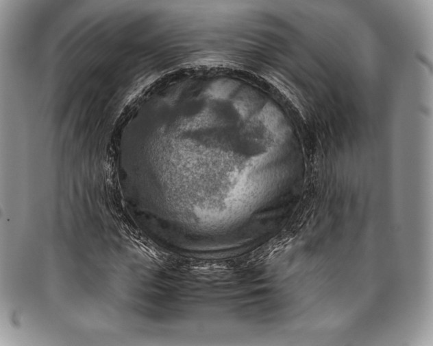 X0000094800823200711301537