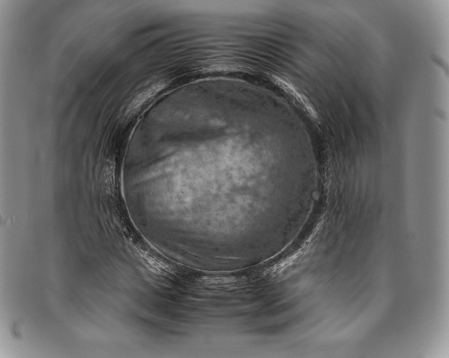 X0000094800825200711301537