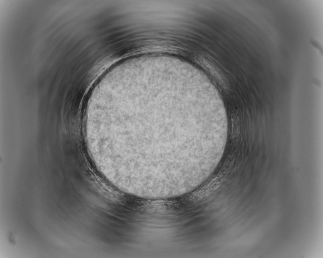 X0000094800828200711301537