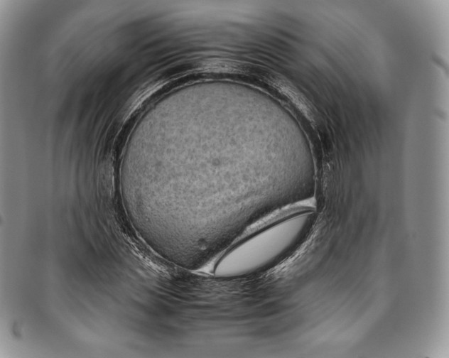 X0000094800829200711301537