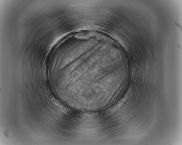 X0000094800830200711301537