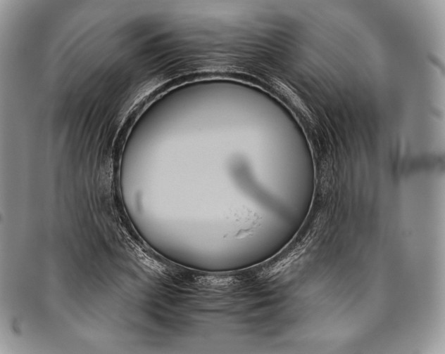 X0000094800831200711301537