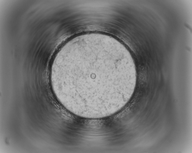 X0000094800832200711301537