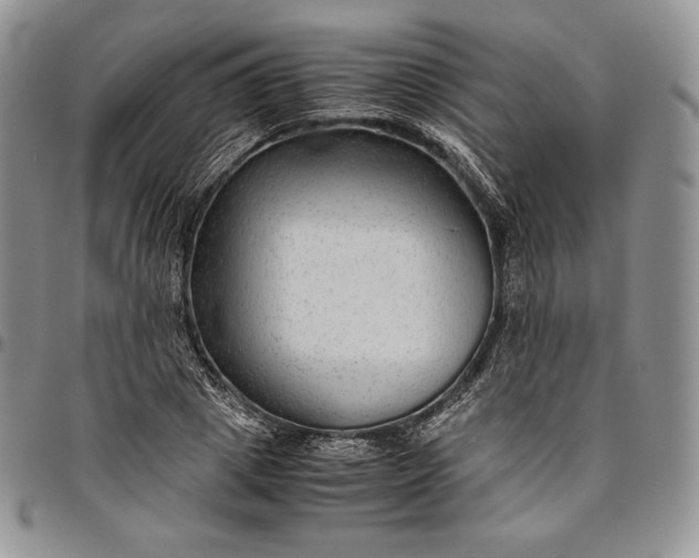 X0000094800833200711301537
