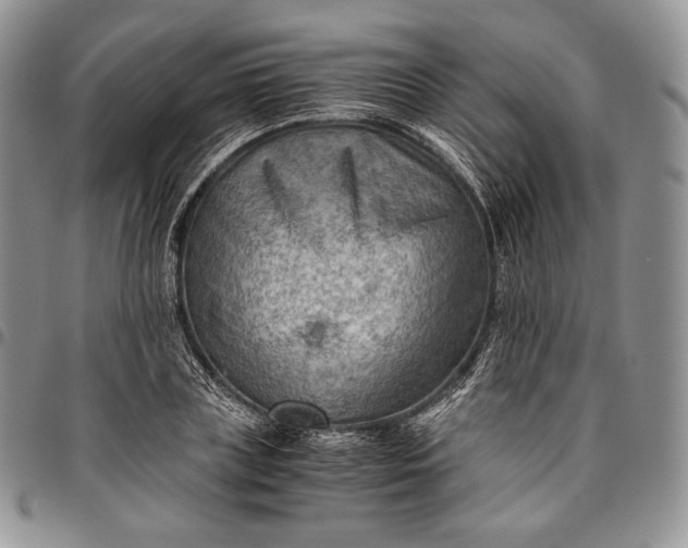 X0000094800835200711301537