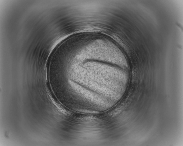 X0000094800838200711301537