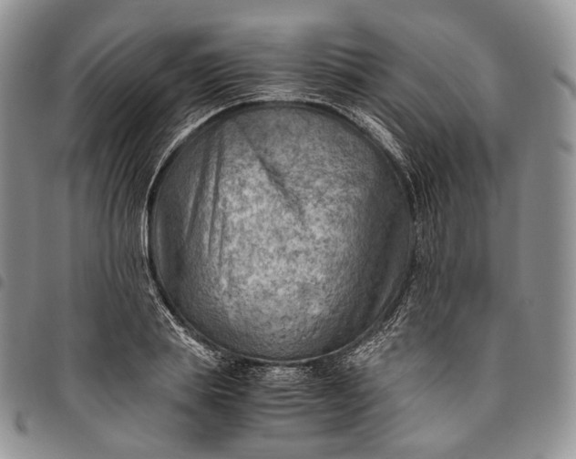 X0000094800839200711301537