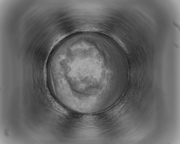 X0000094800840200711301537