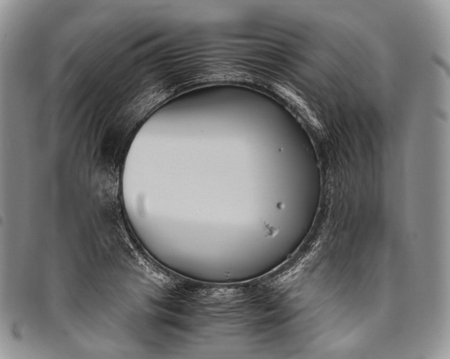 X0000094800841200711301537