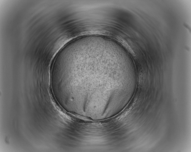 X0000094800844200711301537