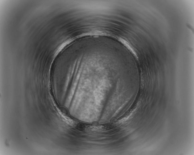 X0000094800845200711301538