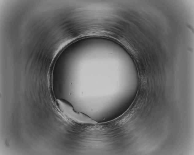 X0000094800846200711301538