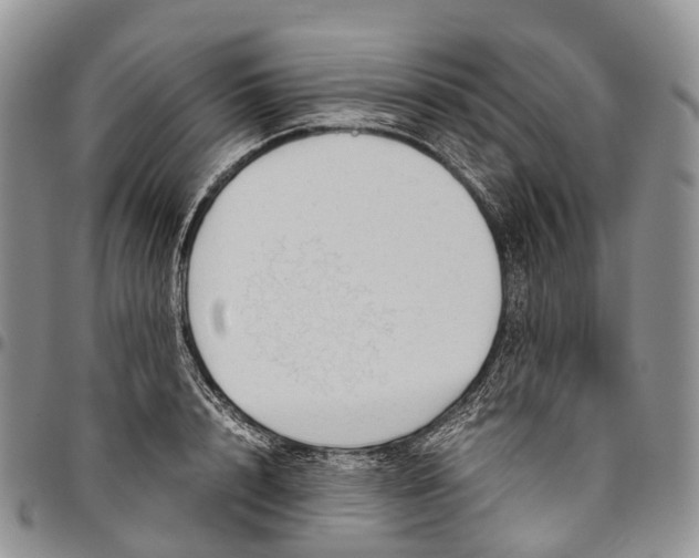X0000094800848200711301538