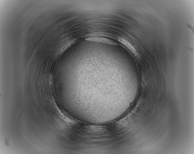 X0000094800849200711301538