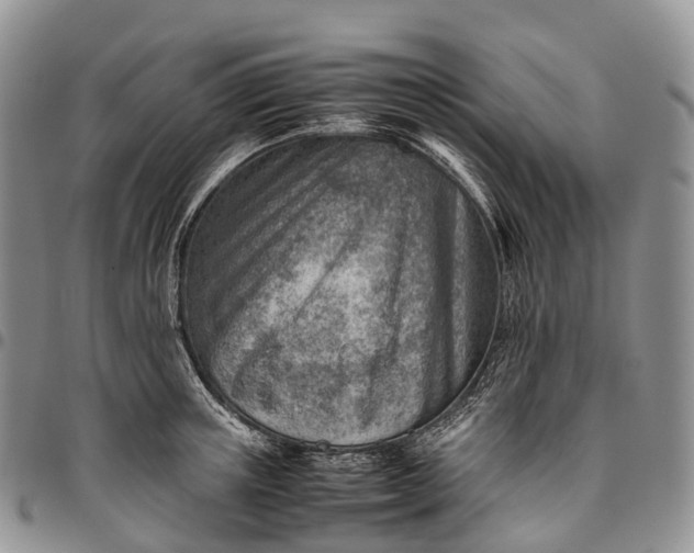 X0000094800851200711301538