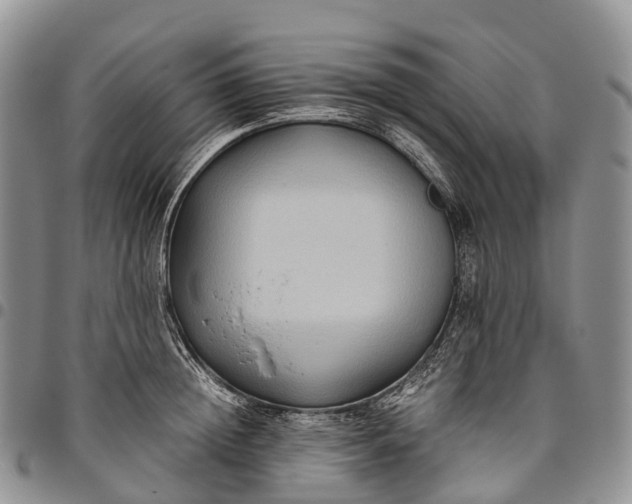 X0000094800852200711301538