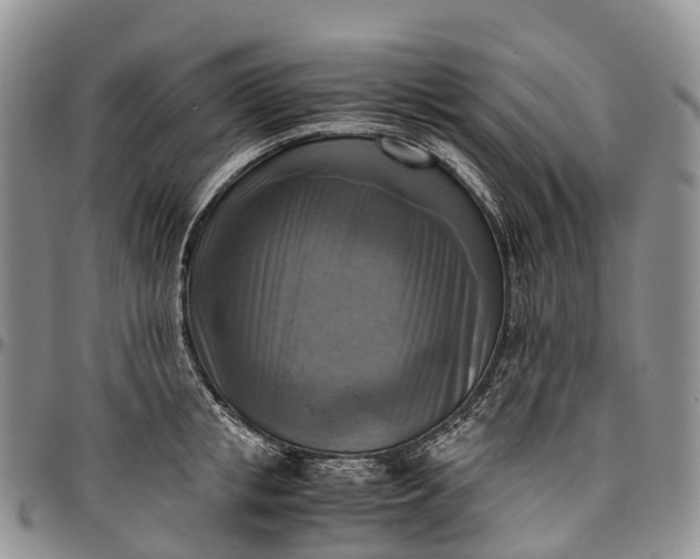 X0000094800853200711301538