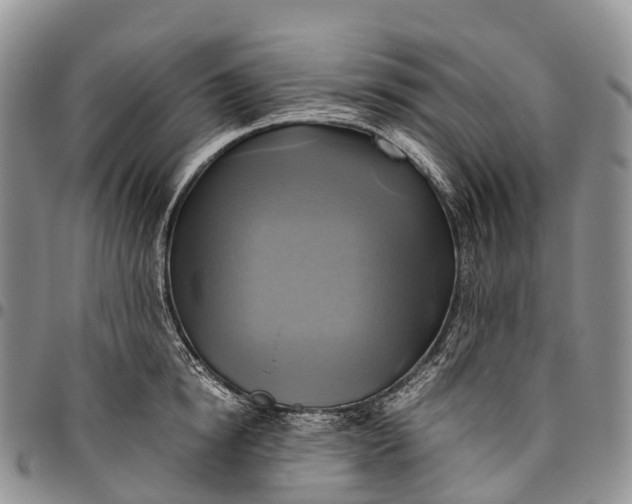 X0000094800854200711301538