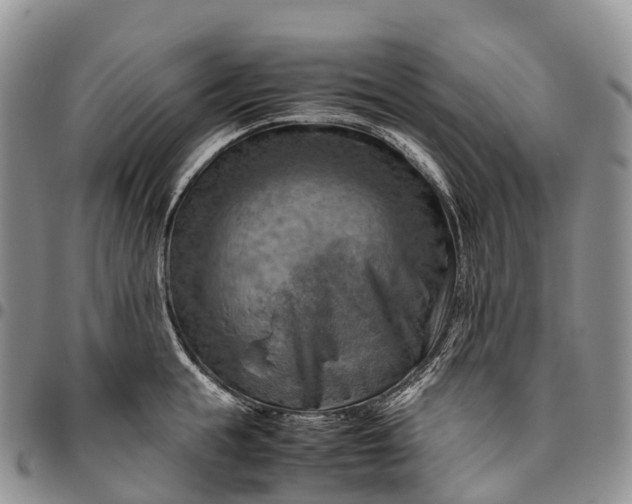 X0000094800855200711301538