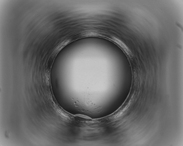 X0000094800857200711301538