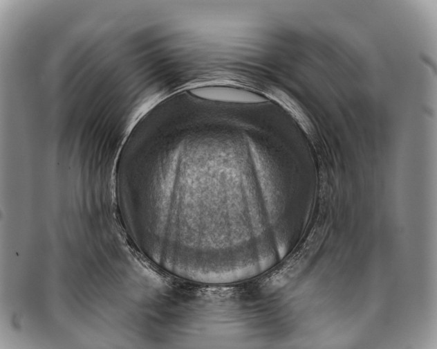 X0000094800858200711301538