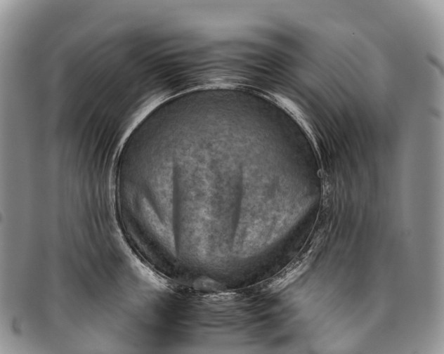 X0000094800859200711301538