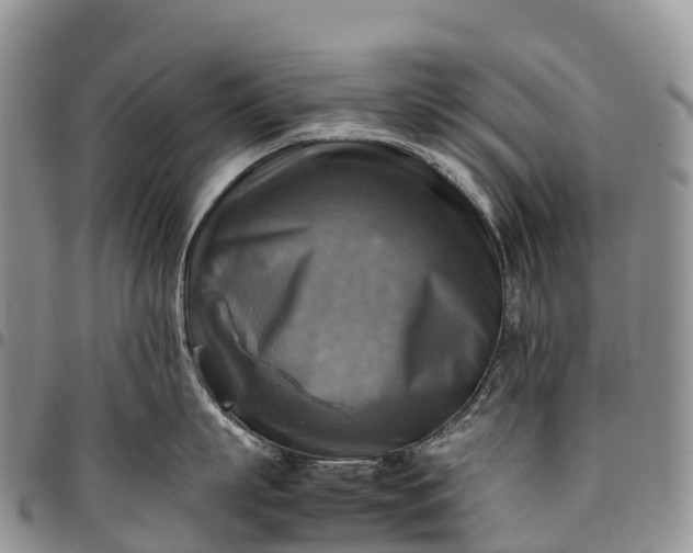X0000094800863200711301538