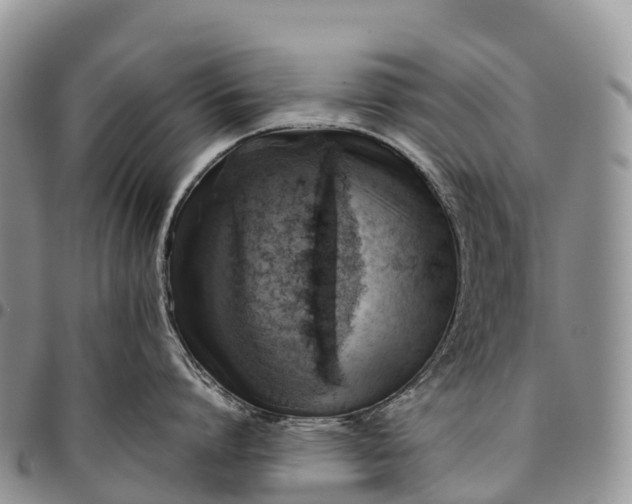 X0000094800864200711301538