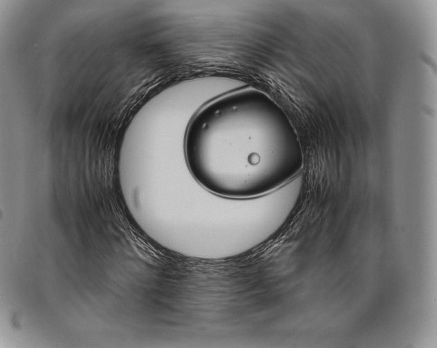 X0000094800868200711301537