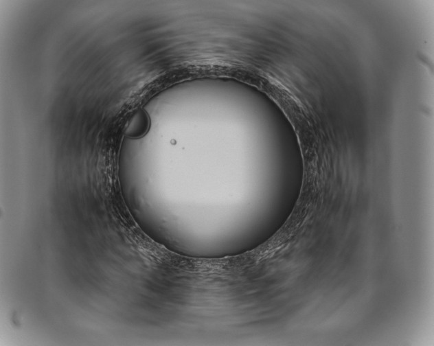 X0000094800870200711301537