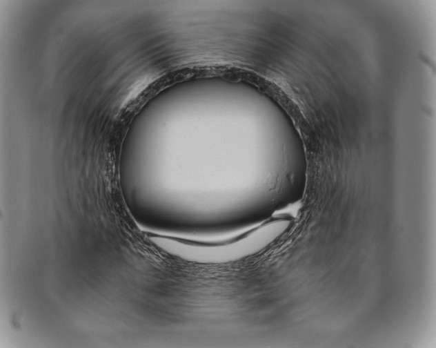 X0000094800871200711301537