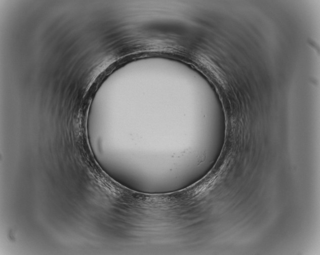 X0000094800875200711301537