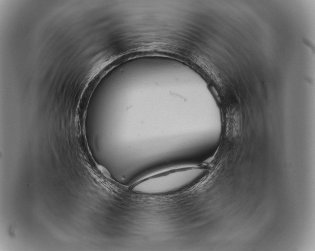 X0000094800876200711301537