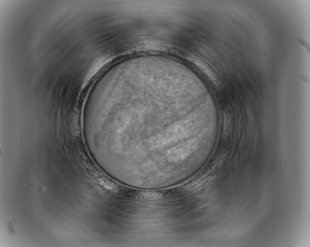 X0000094800878200711301537